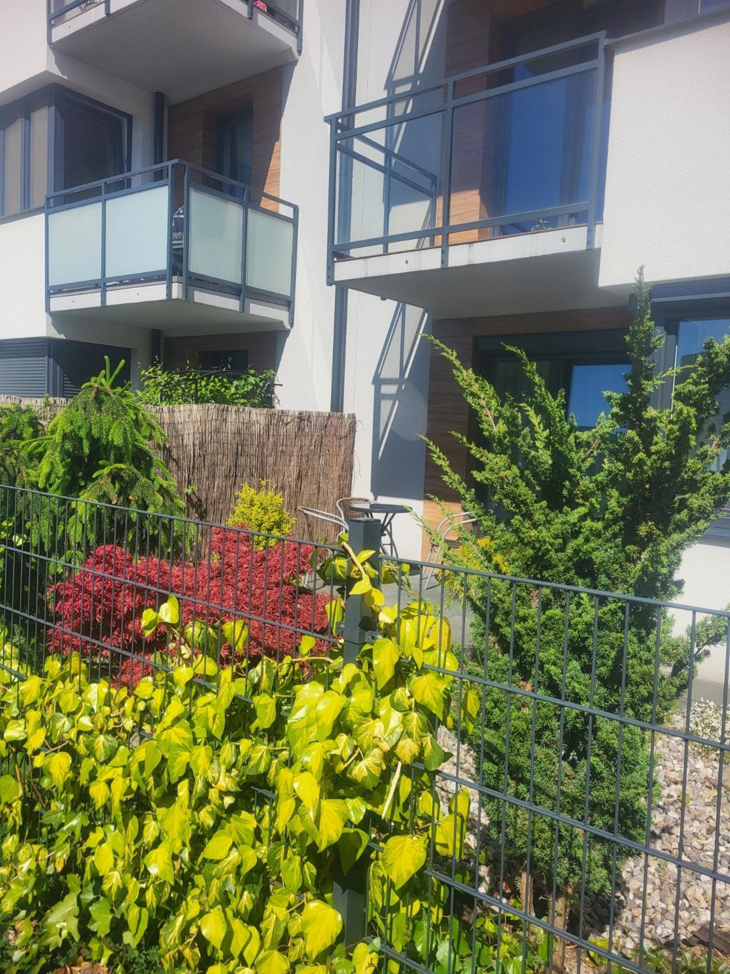 Apartamenty Olimpijska Gorzów Wielkopolski Esterno foto