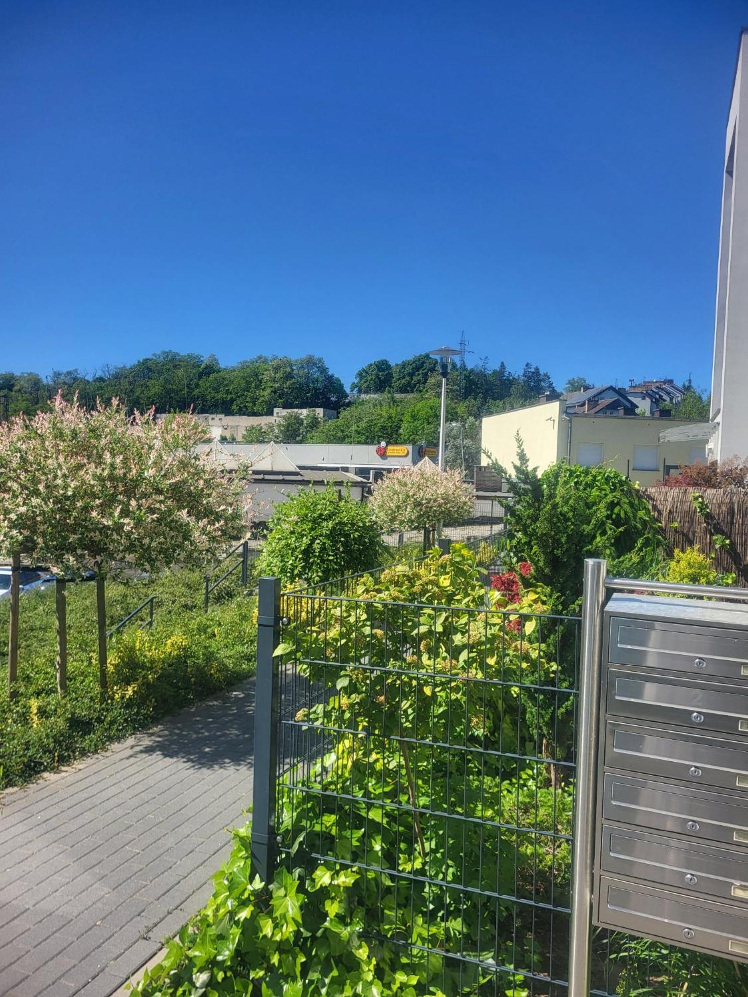 Apartamenty Olimpijska Gorzów Wielkopolski Esterno foto